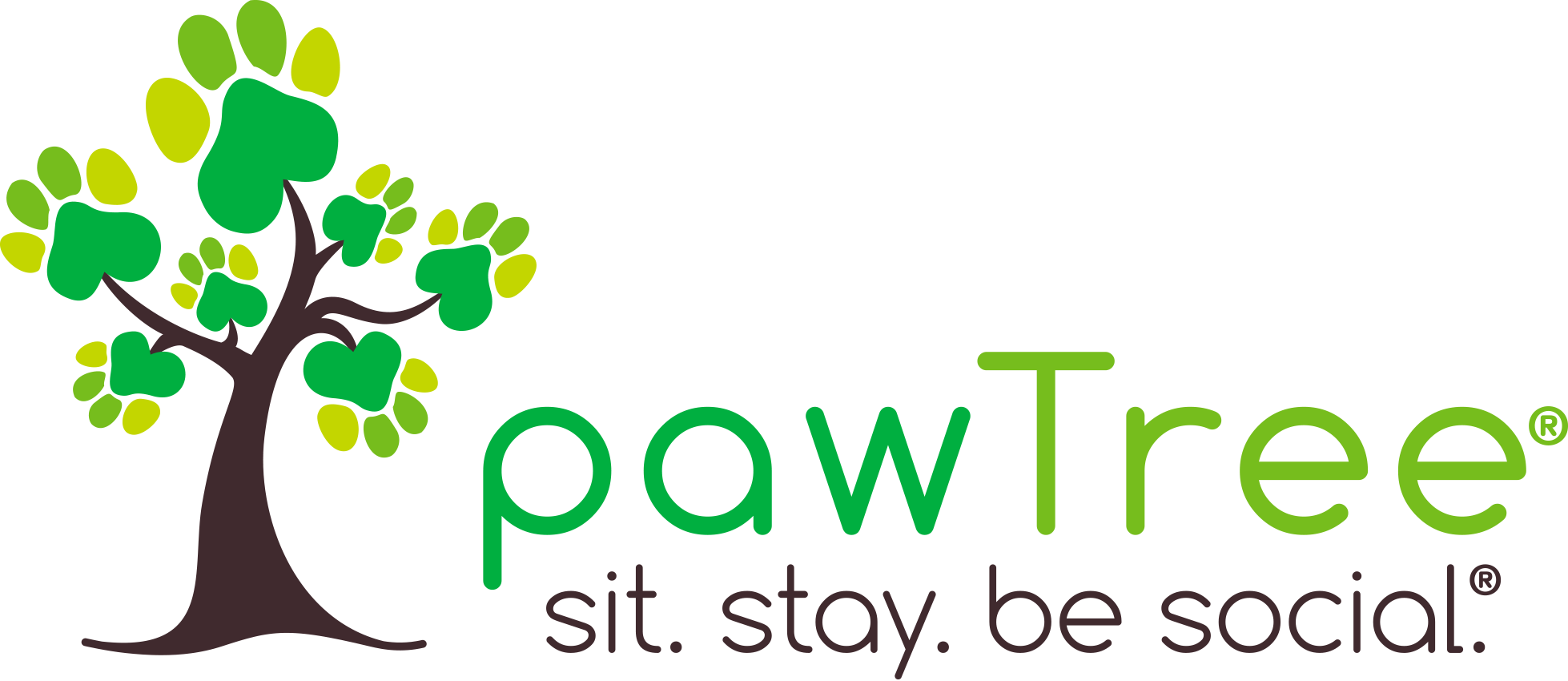 pawtree